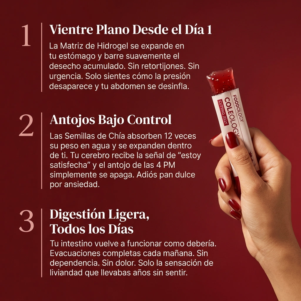 Vitalora™: El Postre Coreano Para La Salud Intestinal